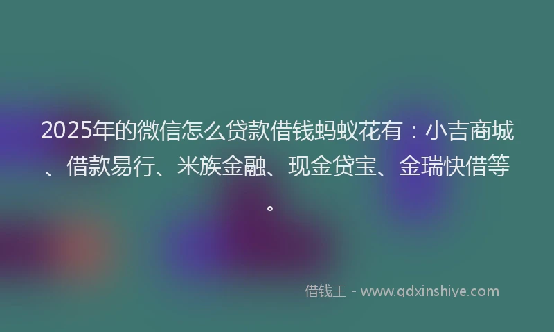 2025年的微信怎么贷款借钱蚂蚁花有：小吉商城、借款易行、米族金融、现金贷宝、金瑞快借等。