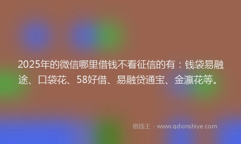 2025年的微信哪里借钱不看征信的有：钱袋易融途、口袋花、58好借、易融贷通宝、金瀛花等。