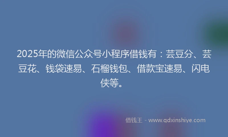 2025年的微信公众号小程序借钱有：芸豆分、芸豆花、钱袋速易、石榴钱包、借款宝速易、闪电侠等。