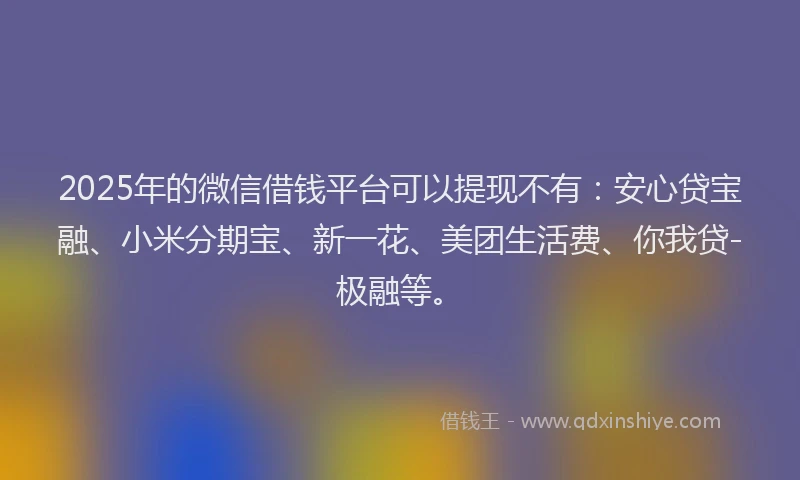 2025年的微信借钱平台可以提现不有：安心贷宝融、小米分期宝、新一花、美团生活费、你我贷-极融等。