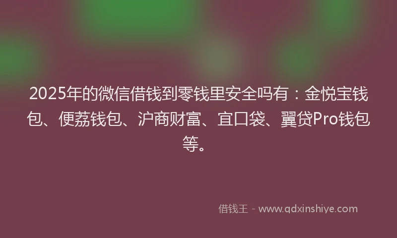 2025年的微信借钱到零钱里安全吗有：金悦宝钱包、便荔钱包、沪商财富、宜口袋、翼贷Pro钱包等。