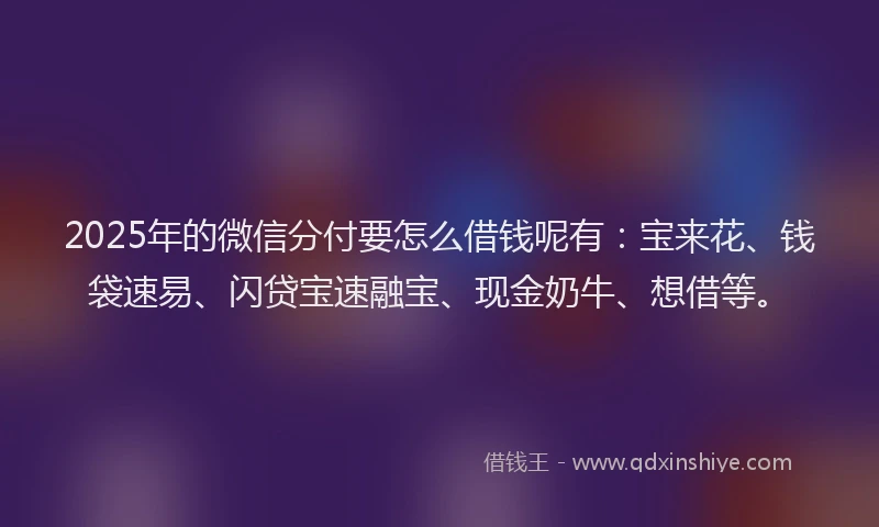 2025年的微信分付要怎么借钱呢有：宝来花、钱袋速易、闪贷宝速融宝、现金奶牛、想借等。