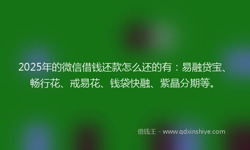 2025年的微信借钱还款怎么还的有：易融贷宝、畅行花、戒易花、钱袋快融、紫晶分期等。