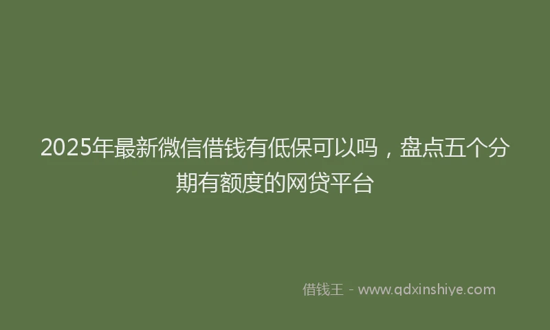 2025年最新微信借钱有低保可以吗，盘点五个分期有额度的网贷平台