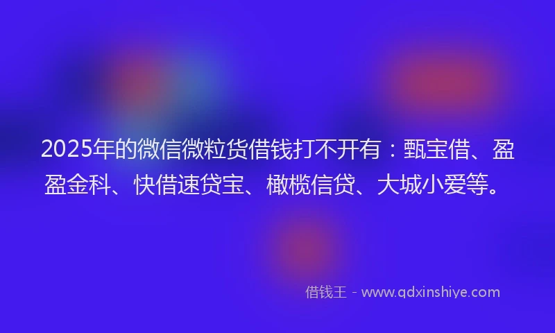 2025年的微信微粒货借钱打不开有：甄宝借、盈盈金科、快借速贷宝、橄榄信贷、大城小爱等。