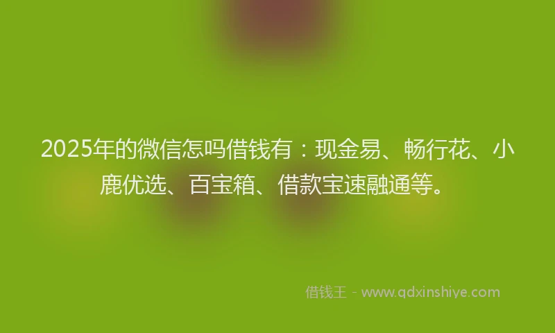 2025年的微信怎吗借钱有：现金易、畅行花、小鹿优选、百宝箱、借款宝速融通等。