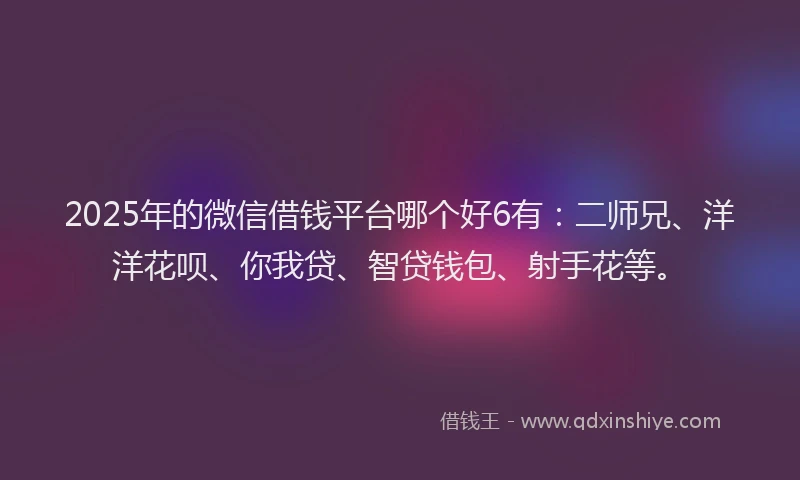 2025年的微信借钱平台哪个好6有：二师兄、洋洋花呗、你我贷、智贷钱包、射手花等。