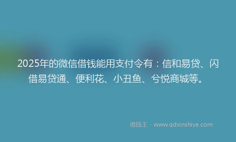 2025年的微信借钱能用支付令有：信和易贷、闪借易贷通、便利花、小丑鱼、兮悦商城等。