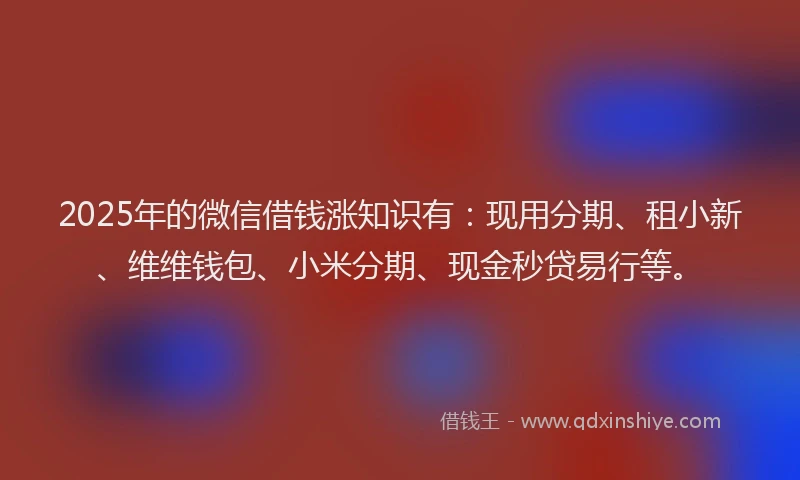 2025年的微信借钱涨知识有：现用分期、租小新、维维钱包、小米分期、现金秒贷易行等。