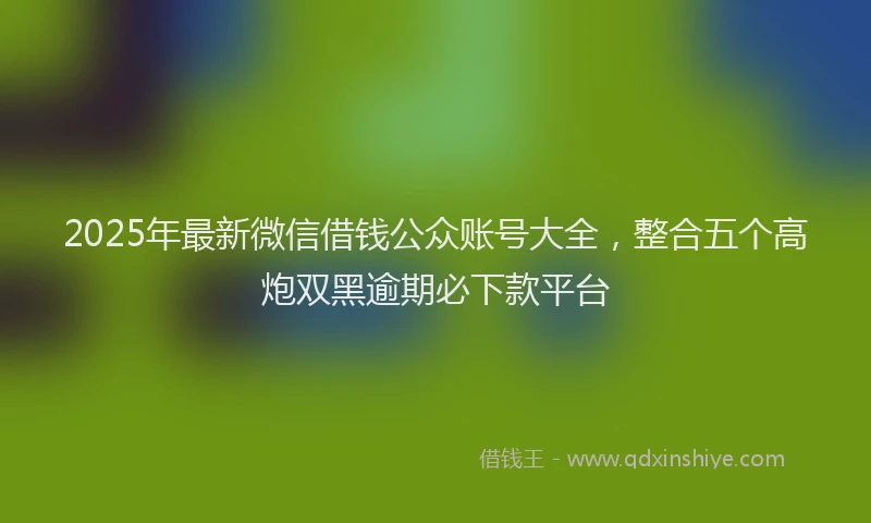 2025年最新微信借钱公众账号大全，整合五个高炮双黑逾期必下款平台