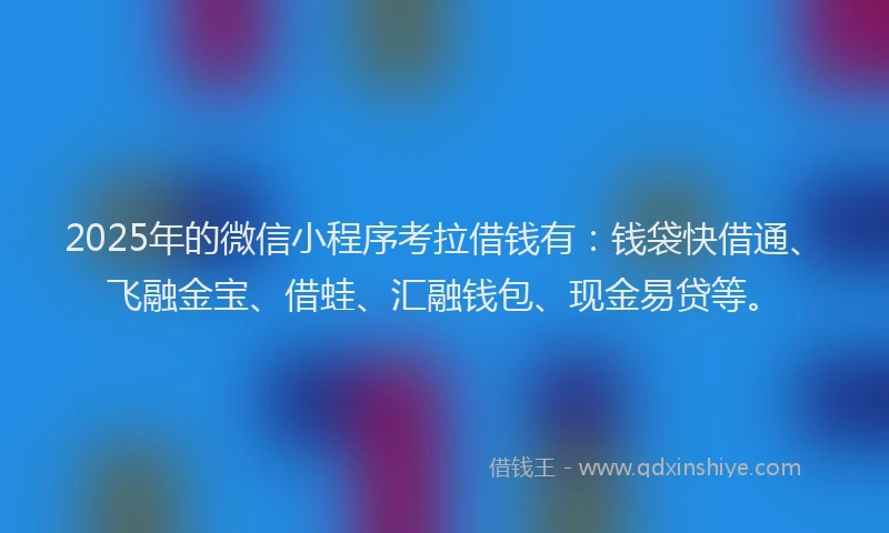 2025年的微信小程序考拉借钱有：钱袋快借通、飞融金宝、借蛙、汇融钱包、现金易贷等。