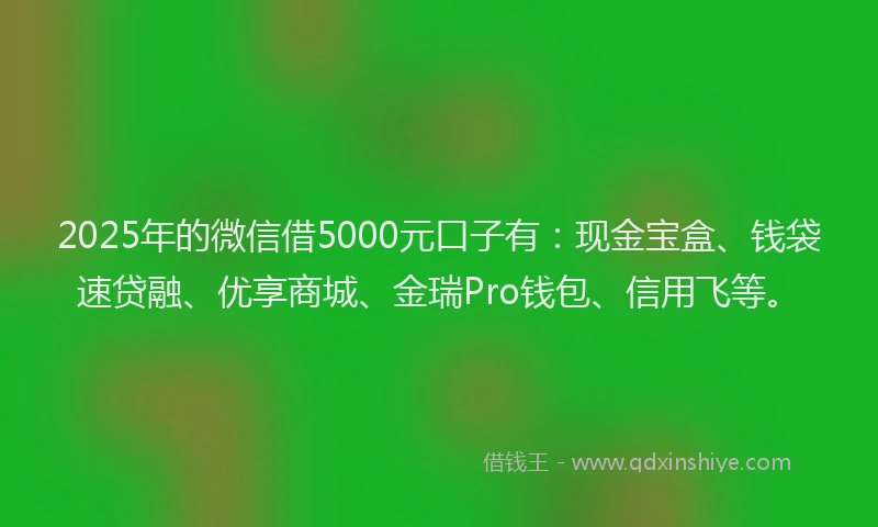 2025年的微信借5000元口子有：现金宝盒、钱袋速贷融、优享商城、金瑞Pro钱包、信用飞等。