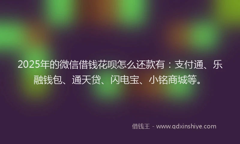 2025年的微信借钱花呗怎么还款有：支付通、乐融钱包、通天贷、闪电宝、小铭商城等。