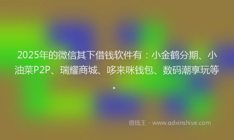 2025年的微信其下借钱软件有：小金鹤分期、小油菜P2P、瑞耀商城、哆来咪钱包、数码潮享玩等。