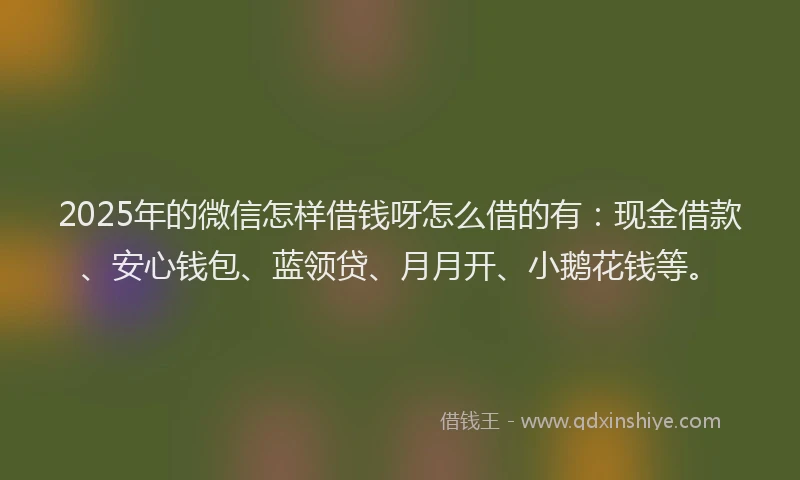 2025年的微信怎样借钱呀怎么借的有：现金借款、安心钱包、蓝领贷、月月开、小鹅花钱等。
