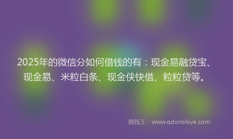 2025年的微信分如何借钱的有：现金易融贷宝、现金易、米粒白条、现金侠快借、粒粒贷等。