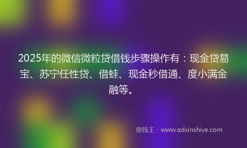 2025年的微信微粒贷借钱步骤操作有：现金贷易宝、苏宁任性贷、借蛙、现金秒借通、度小满金融等。