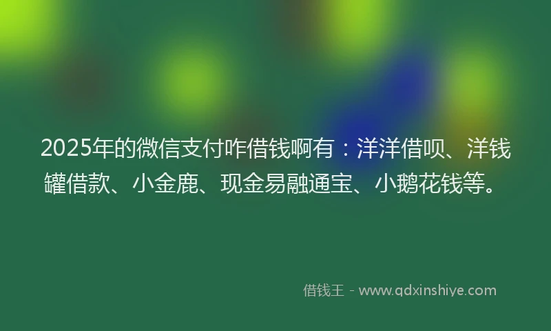 2025年的微信支付咋借钱啊有：洋洋借呗、洋钱罐借款、小金鹿、现金易融通宝、小鹅花钱等。