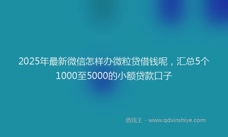 2025年最新微信怎样办微粒贷借钱呢，汇总5个1000至5000的小额贷款口子