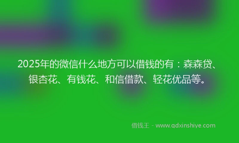 2025年的微信什么地方可以借钱的有：森森贷、银杏花、有钱花、和信借款、轻花优品等。