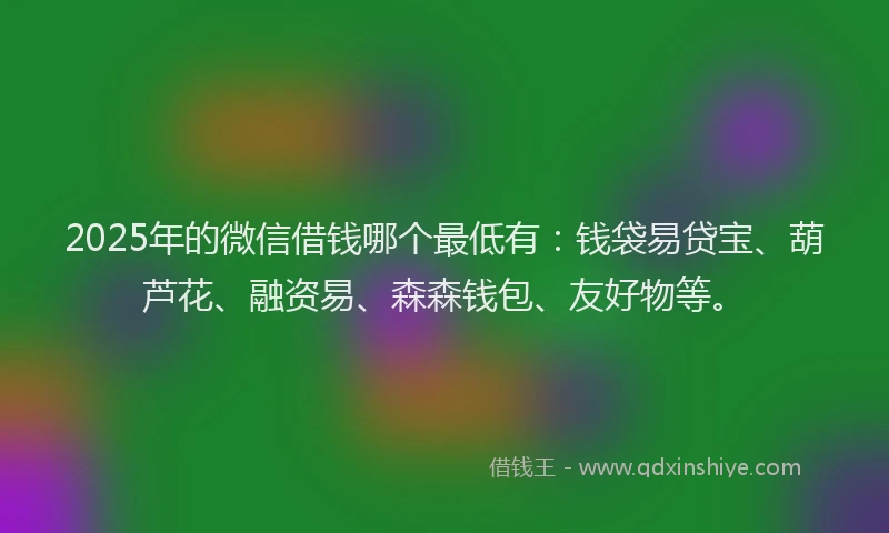 2025年的微信借钱哪个最低有：钱袋易贷宝、葫芦花、融资易、森森钱包、友好物等。