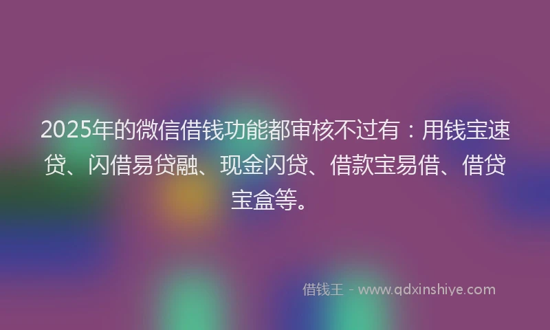 2025年的微信借钱功能都审核不过有：用钱宝速贷、闪借易贷融、现金闪贷、借款宝易借、借贷宝盒等。