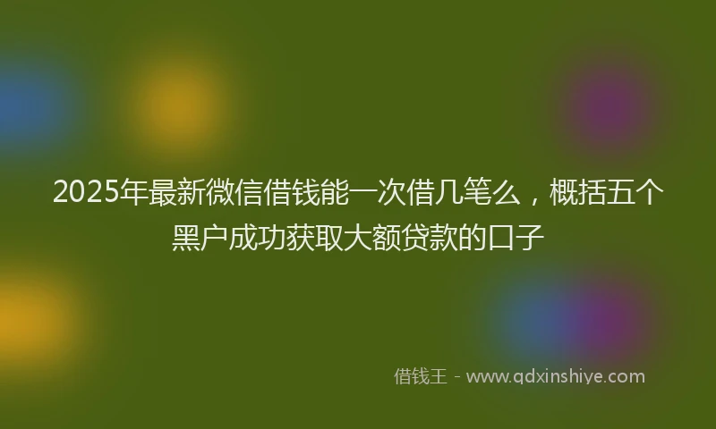 2025年最新微信借钱能一次借几笔么，概括五个黑户成功获取大额贷款的口子