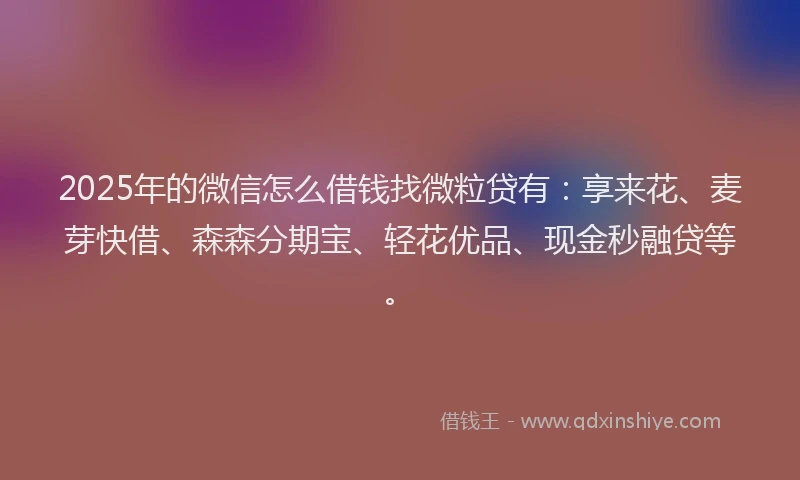 2025年的微信怎么借钱找微粒贷有：享来花、麦芽快借、森森分期宝、轻花优品、现金秒融贷等。