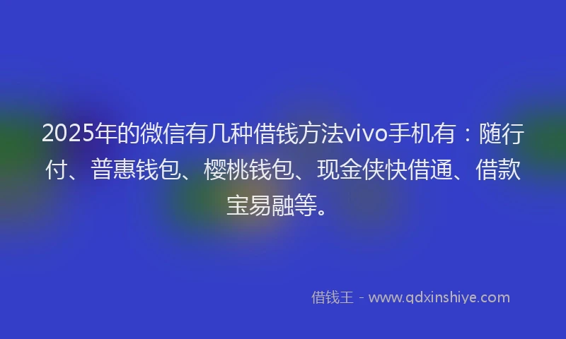 2025年的微信有几种借钱方法vivo手机有：随行付、普惠钱包、樱桃钱包、现金侠快借通、借款宝易融等。