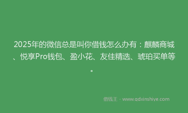 2025年的微信总是叫你借钱怎么办有：麒麟商城、悦享Pro钱包、盈小花、友佳精选、琥珀买单等。