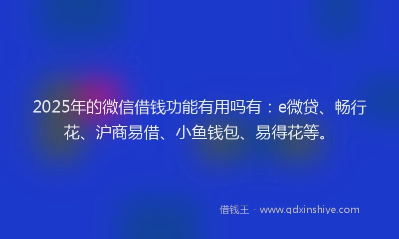 2025年的微信借钱功能有用吗有：e微贷、畅行花、沪商易借、小鱼钱包、易得花等。