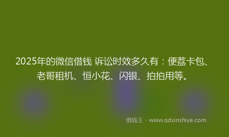 2025年的微信借钱 诉讼时效多久有：便荔卡包、老哥租机、恒小花、闪银、拍拍用等。