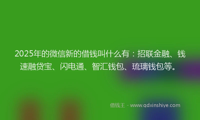2025年的微信新的借钱叫什么有：招联金融、钱速融贷宝、闪电通、智汇钱包、琉璃钱包等。