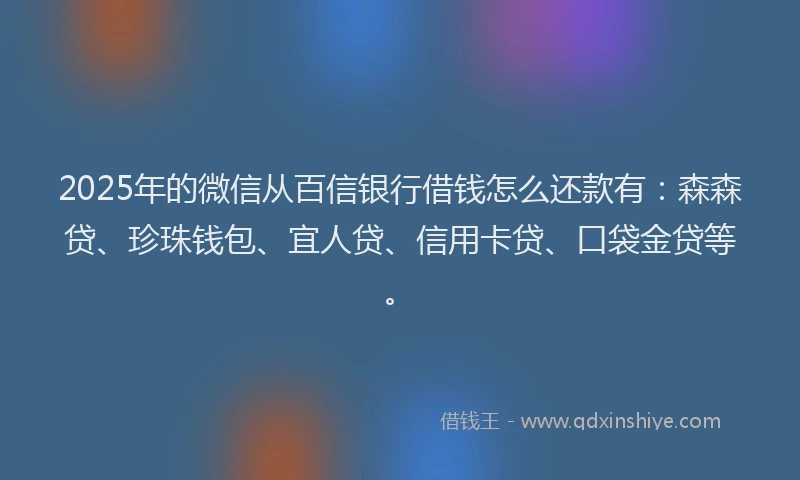 2025年的微信从百信银行借钱怎么还款有：森森贷、珍珠钱包、宜人贷、信用卡贷、口袋金贷等。
