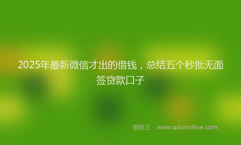 2025年最新微信才出的借钱，总结五个秒批无面签贷款口子