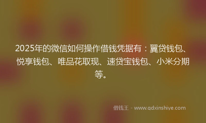 2025年的微信如何操作借钱凭据有：翼贷钱包、悦享钱包、唯品花取现、速贷宝钱包、小米分期等。