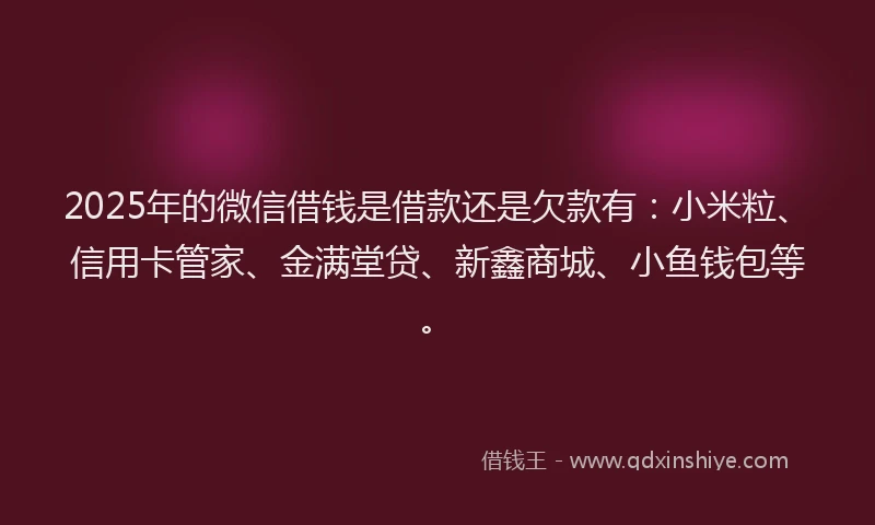 2025年的微信借钱是借款还是欠款有：小米粒、信用卡管家、金满堂贷、新鑫商城、小鱼钱包等。