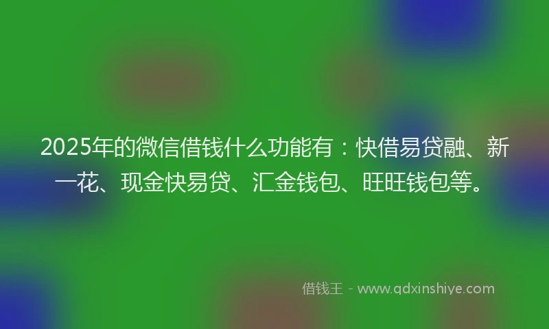 2025年的微信借钱什么功能有：快借易贷融、新一花、现金快易贷、汇金钱包、旺旺钱包等。
