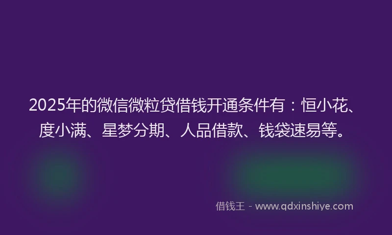 2025年的微信微粒贷借钱开通条件有：恒小花、度小满、星梦分期、人品借款、钱袋速易等。