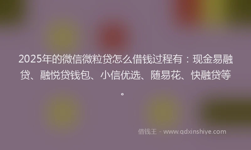 2025年的微信微粒贷怎么借钱过程有：现金易融贷、融悦贷钱包、小信优选、随易花、快融贷等。