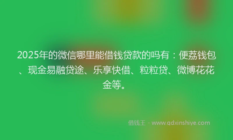 2025年的微信哪里能借钱贷款的吗有：便荔钱包、现金易融贷途、乐享快借、粒粒贷、微博花花金等。