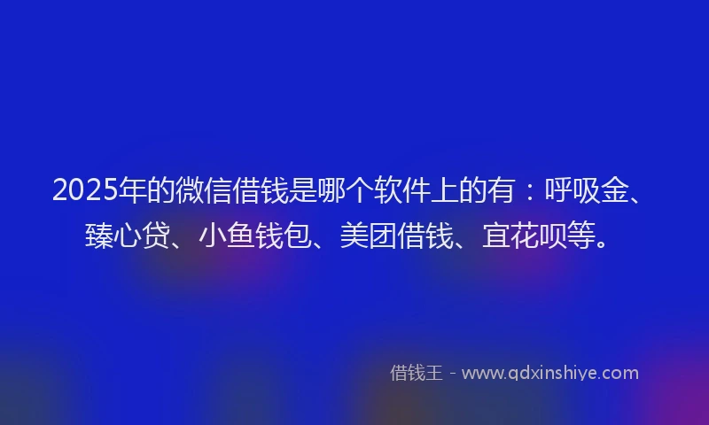2025年的微信借钱是哪个软件上的有：呼吸金、臻心贷、小鱼钱包、美团借钱、宜花呗等。