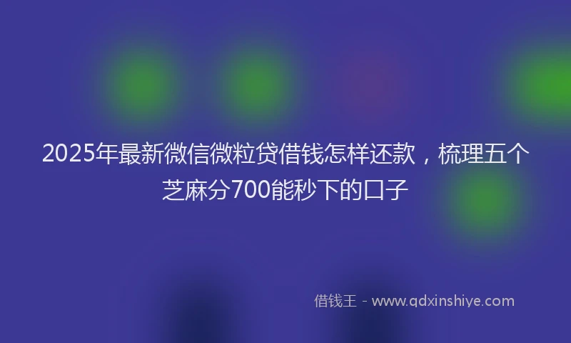 2025年最新微信微粒贷借钱怎样还款，梳理五个芝麻分700能秒下的口子