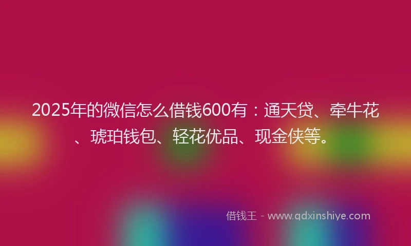 2025年的微信怎么借钱600有：通天贷、牵牛花、琥珀钱包、轻花优品、现金侠等。
