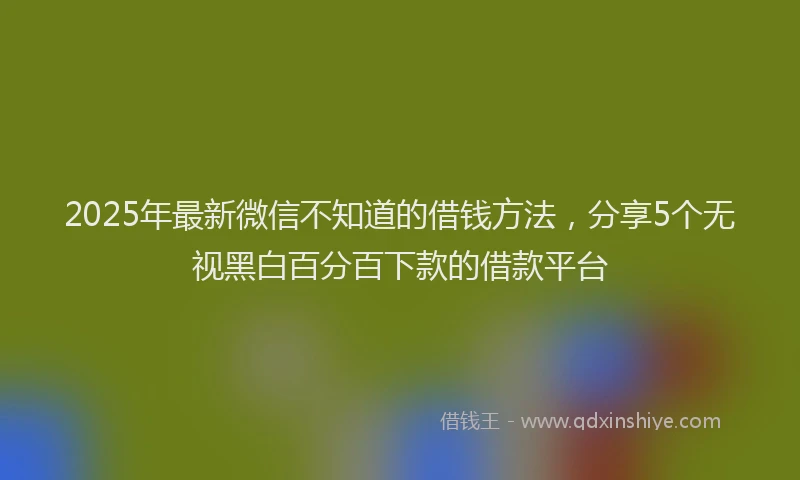 2025年最新微信不知道的借钱方法，分享5个无视黑白百分百下款的借款平台