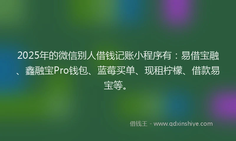 2025年的微信别人借钱记账小程序有：易借宝融、鑫融宝Pro钱包、蓝莓买单、现租柠檬、借款易宝等。