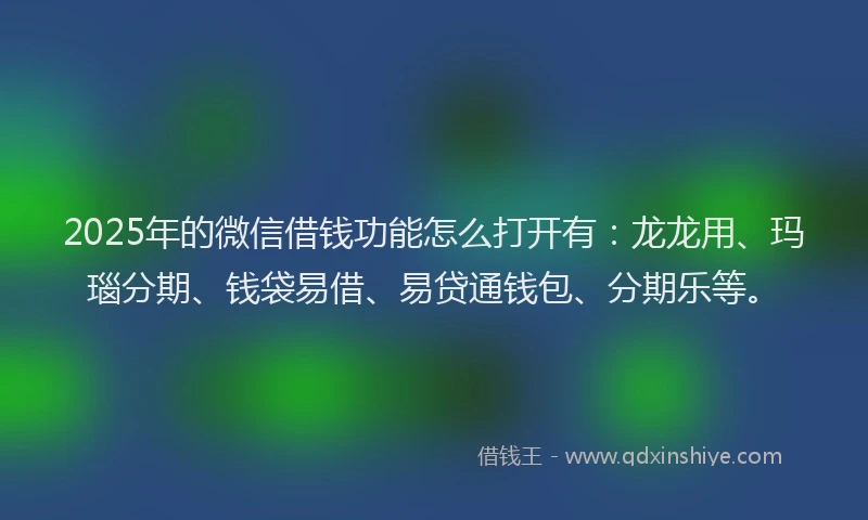 2025年的微信借钱功能怎么打开有：龙龙用、玛瑙分期、钱袋易借、易贷通钱包、分期乐等。