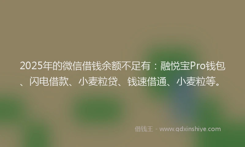 2025年的微信借钱余额不足有：融悦宝Pro钱包、闪电借款、小麦粒贷、钱速借通、小麦粒等。