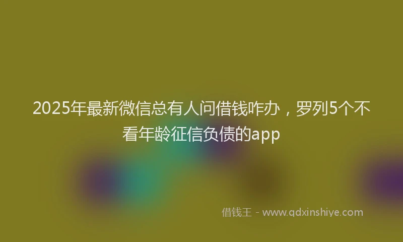 2025年最新微信总有人问借钱咋办，罗列5个不看年龄征信负债的app