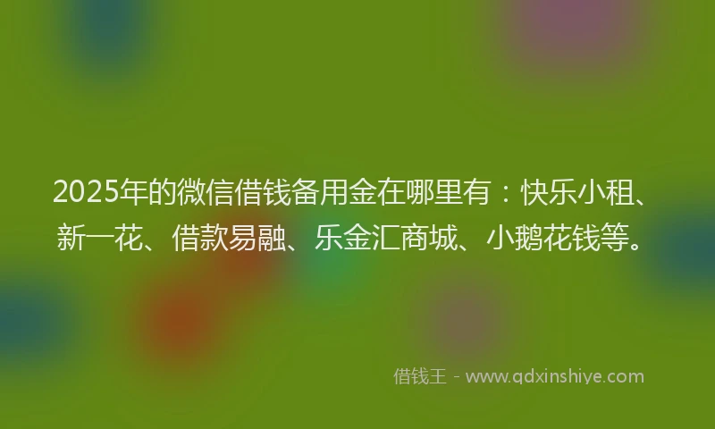 2025年的微信借钱备用金在哪里有：快乐小租、新一花、借款易融、乐金汇商城、小鹅花钱等。